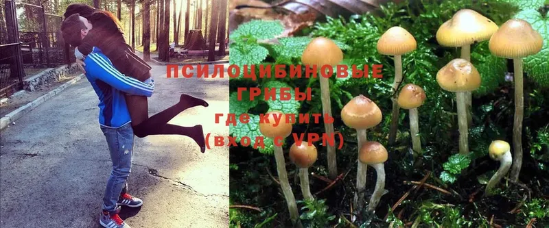 Псилоцибиновые грибы MAGIC MUSHROOMS Шарыпово